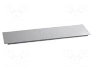 Masking panel; steel; Plating: epoxy-polyester powder; screwed SCHNEIDER ELECTRIC