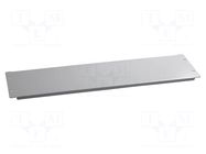 Masking panel; steel; Plating: epoxy-polyester powder; screwed SCHNEIDER ELECTRIC
