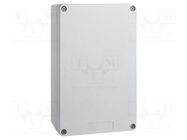 Enclosure: for remote controller; IP65; X: 151mm; Y: 241mm; Z: 87mm SCHNEIDER ELECTRIC