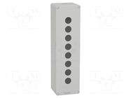 Enclosure: for remote controller; IP65; X: 85mm; Y: 310mm; Z: 77mm SCHNEIDER ELECTRIC