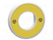 LED luminous ring; 230VAC SCHNEIDER ELECTRIC