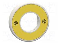 LED luminous ring; 230VAC SCHNEIDER ELECTRIC