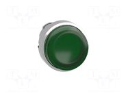 Switch: push-button; 22mm; Stabl.pos: 2; green; IP66; prominent SCHNEIDER ELECTRIC