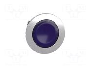 Indicator: control lamp; 30mm; Colour: blue; ZBVB,ZBVG,ZBVJ,ZBVM SCHNEIDER ELECTRIC