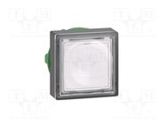 Switch: push-button; 22mm; Stabl.pos: 1; white; IP66; square,flat SCHNEIDER ELECTRIC