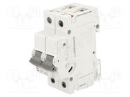 Circuit breaker; 230/400VAC; Inom: 40A; Poles: 2; Charact: C; 10kA ETI POLAM