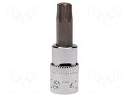 Socket; socket spanner,Torx®; Bit: Torx®; Size: TX40; 1/4"; 37.5mm IRIMO