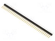 Connector: pin strips; pin header; male; PIN: 36; THT; BERGSTIK AMPHENOL COMMUNICATIONS SOLUTIONS