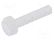 Screw; M2x10; 0.4; Head: cheese head; slotted; 0.6mm; polyamide DREMEC