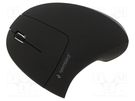 Optical mouse; black; USB A; wireless; 10m; No.of butt: 6 GEMBIRD
