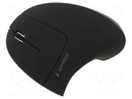 Mouse; black; USB A; wireless,optical; No.of butt: 6; 10m GEMBIRD
