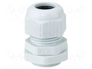 Cable gland; PG16; IP65; polyamide; light grey HENSEL