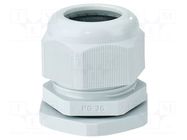 Cable gland; PG36; IP65; polyamide; light grey HENSEL