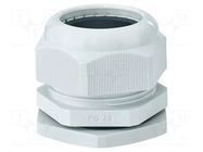 Cable gland; PG48; IP65; polyamide; light grey HENSEL