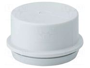 Grommet; elastomer thermoplastic TPE; -25÷35°C; 17÷30mm; IP55 HENSEL