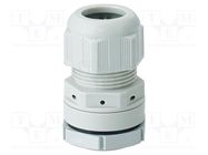 Cable gland; M25; 1.5; IP66,IP67; polyamide; light grey HENSEL