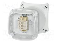 Enclosure: junction box; IP66; with terminals; grey; ENYCASE® HENSEL