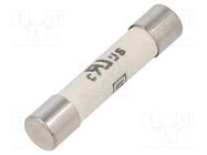 Fuse: fuse; time-lag; 12.5A; 400VAC; 400VDC; ceramic,cylindrical SCHURTER