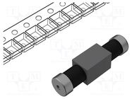 Filter: anti-interference; SMD; 2706; 2A; 100VDC; ±30%; 33pF MURATA