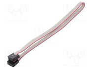 Ribbon cable with IDC connectors; Cable ph: 1mm; 0.3m; 6x28AWG CONNFLY