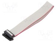 Ribbon cable with IDC connectors; Cable ph: 1mm; 0.3m; 24x28AWG CONNFLY