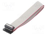 Ribbon cable with IDC connectors; Tape ph: 1mm; Contacts ph: 2mm CONNFLY