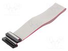 Ribbon cable with IDC connectors; Cable ph: 1mm; 0.3m; 30x28AWG CONNFLY