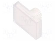 Actuator lens; 22mm; 61; transparent; plastic; Dim: 18x24mm EAO