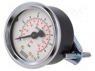 Manometer; 0÷10bar; 50mm; non-aggressive liquids,inert gases PNEUMAT