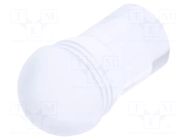 Fiber for LED; Ø5.2mm; L: 6.3mm; round; Front: convex; straight MENTOR