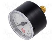 Manometer; 0÷6bar; 40mm; non-aggressive liquids,inert gases PNEUMAT