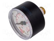 Manometer; 0÷6bar; G 1/4",rear connection; 50mm; Temp: -20÷60°C PNEUMAT