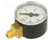 Manometer; 0÷25bar; G 1/8",bottom connection; 40mm; metal PNEUMAT