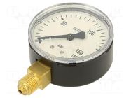 Manometer; 0÷160bar; G 1/4",bottom connection; 63mm; metal PNEUMAT