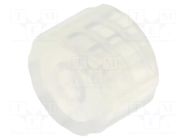 Adapter; transparent; Luer Lock FISNAR