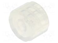 Adapter; transparent; Luer Lock FISNAR