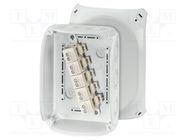 Enclosure: junction box; X: 130mm; Y: 180mm; Z: 77mm; IP66,IP67; grey HENSEL