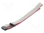 Ribbon cable with IDC connectors; Cable ph: 1mm; 0.6m; 12x28AWG CONNFLY