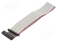 Ribbon cable with IDC connectors; Cable ph: 1mm; 0.15m; 30x28AWG CONNFLY