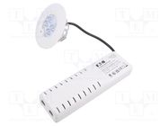 Lamp: LED emergency luminaire; RoundTech; IP65; white; 1.1W; 200lm EATON ELECTRIC