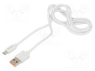 Cable; USB 2.0; USB A plug,USB B micro plug; 1m; white; 480Mbps SAVIO