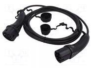 Cable: eMobility; 1x0.5mm2,3x6mm2; 250V; 3.6kW; IP54; single-phase AMPHENOL