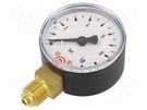 Manometer; 0÷10bar; 50mm; non-aggressive liquids,inert gases PNEUMAT