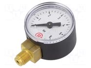 Manometer; 0÷6bar; G 1/8",bottom connection; 40mm; Temp: -20÷60°C PNEUMAT