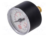 Manometer; 0÷16bar; G 1/8",rear connection; 40mm; Temp: -20÷60°C PNEUMAT
