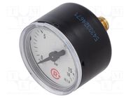 Manometer; 0÷25bar; 63mm; non-aggressive liquids,inert gases PNEUMAT