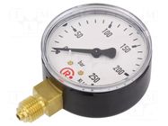 Manometer; 0÷250bar; G 1/4",bottom connection; 63mm; metal PNEUMAT