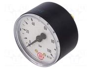 Manometer; 0÷100bar; G 1/4",rear connection; 50mm; Temp: -20÷60°C PNEUMAT