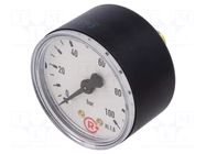 Manometer; 0÷100bar; G 1/4",rear connection; 50mm; Temp: -20÷60°C PNEUMAT