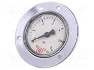 Manometer; 0÷6bar; G 1/4",rear connection; 50mm; Temp: -20÷60°C PNEUMAT